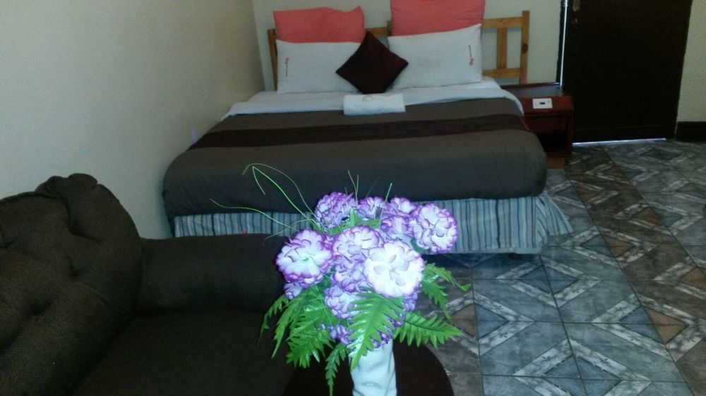 G&G Guesthouse ヨハネスブルグ エクステリア 写真